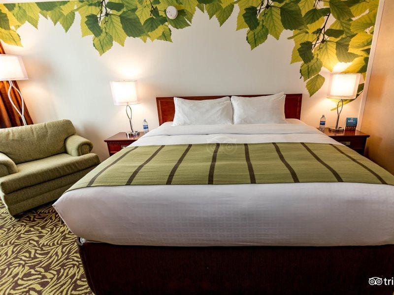 אדמונטון Varscona Hotel On Whyte מראה חיצוני תמונה