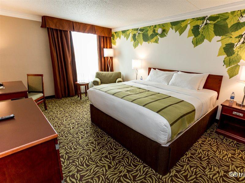 אדמונטון Varscona Hotel On Whyte מראה חיצוני תמונה